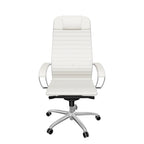 Metal Frame Equalizer Ergonomic Executive Chair